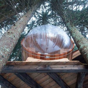 Cabane en bois perchée dans les arbres avec une bulle transparente au sommet.