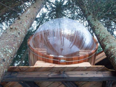 Cabane en bois perchée dans les arbres avec une bulle transparente au sommet.