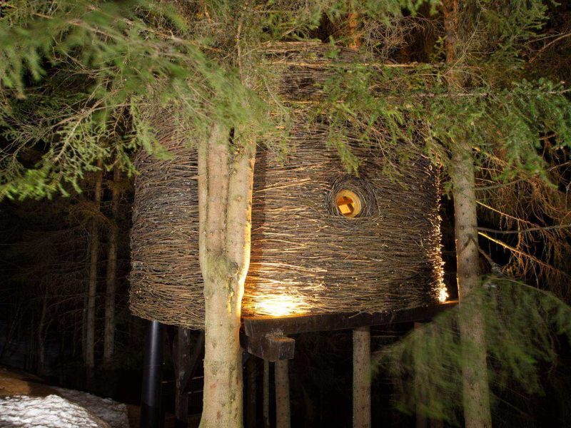 Cabane perchée dans les arbres, illuminée, entourée de sapins enneigés.