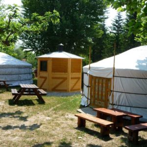 Yourtes confortables entourées darbres, avec tables de pique-nique en bois.