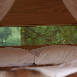 Cabane perchée avec vue sur la nature, literie confortable et ambiance cocooning.