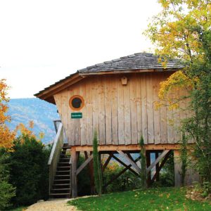 Cabane perchée en bois, entourée de verdure et darbres aux couleurs dautomne.