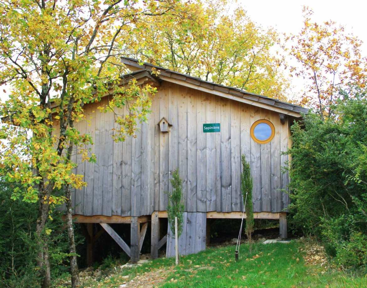Cabane en bois perchée, entourée darbres aux feuilles dorées en Auvergne-Rhône-Alpes.