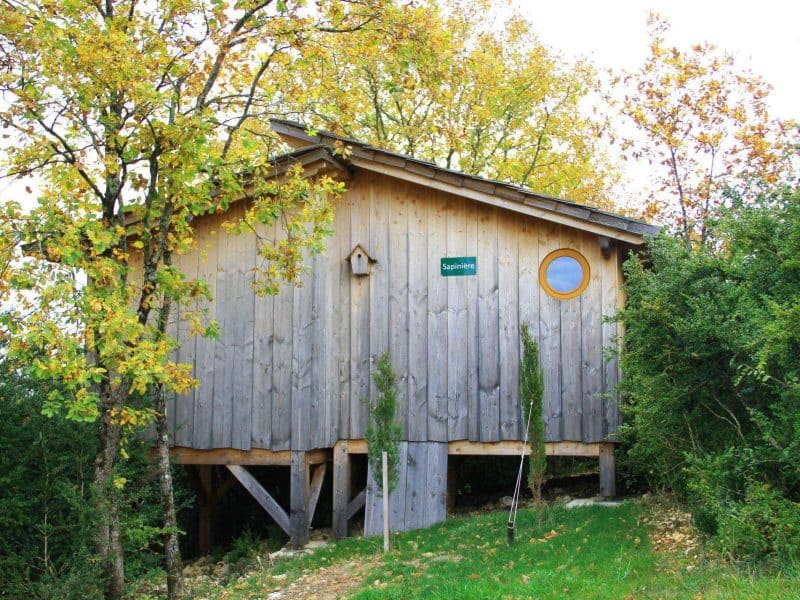 Cabane en bois perchée, entourée darbres aux feuilles dorées en Auvergne-Rhône-Alpes.