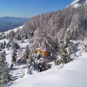 Cabane en bois nichée dans la neige, entourée de sapins en Provence-Alpes-Côte dAzur.