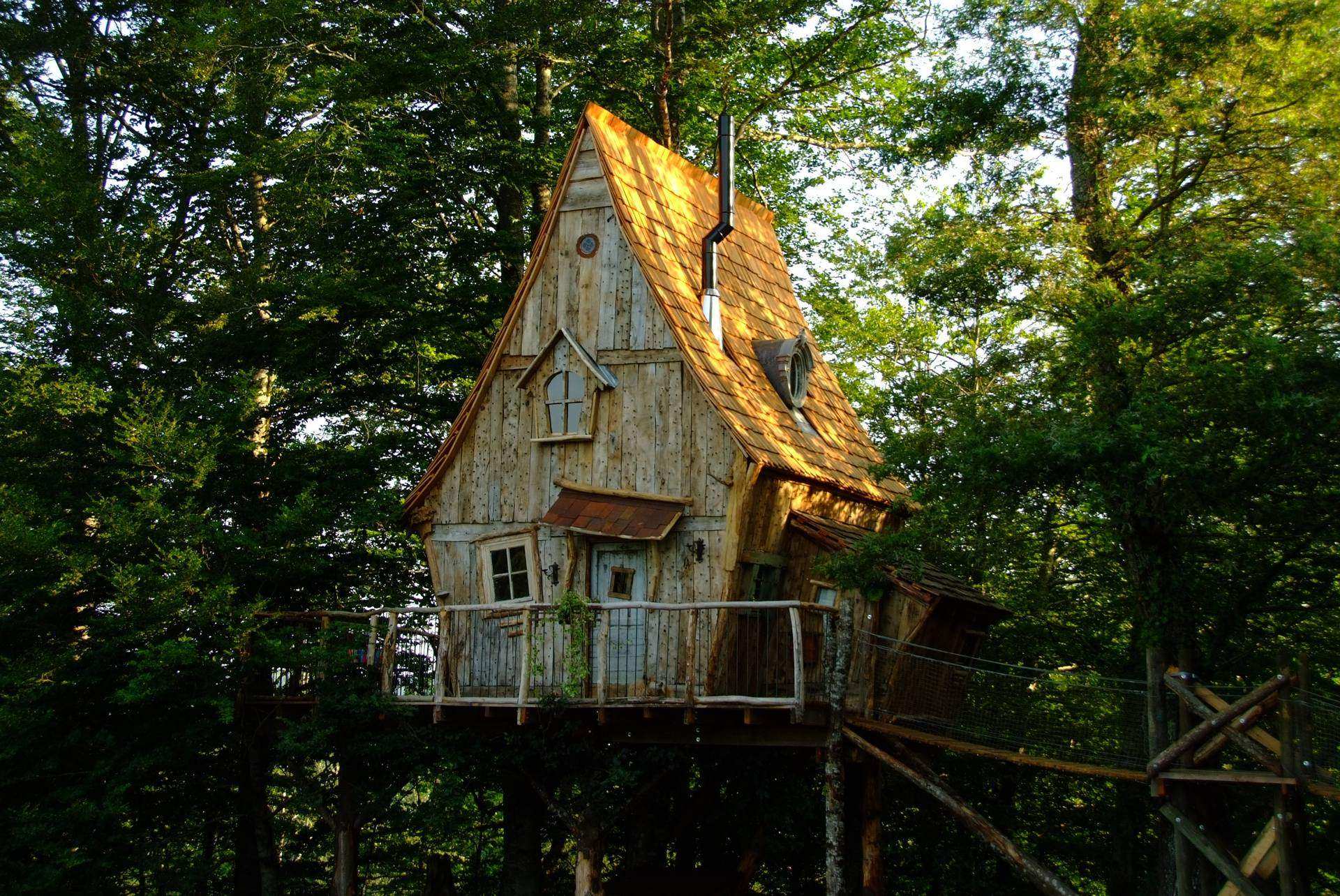 cabane dans les arbres - Image