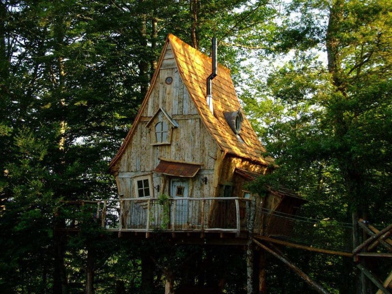 Cabane perchée en bois, entourée darbres verdoyants et lumineuse.