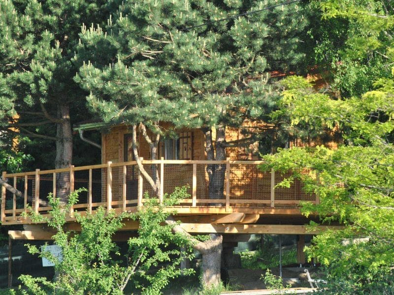 Cabane dans les arbres avec terrasse en bois, entourée de verdure luxuriante.