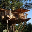 Cabane Nis de Bisou en Auvergne