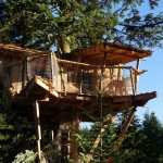 Cabane Nis de Bisou en Auvergne