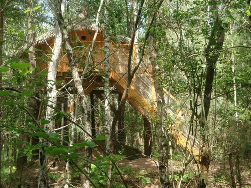 Cabane perchée en bois, entourée darbres verdoyants dans les Pays de la Loire.