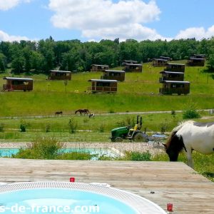 Cabanes en bois avec vue sur la nature, piscine et chevaux dans le paysage verdoyant.