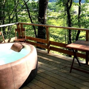 Cabane en bois avec jacuzzi sur une terrasse entourée darbres verdoyants.