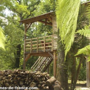 Cabane en bois perchée, entourée de verdure et de troncs darbres.