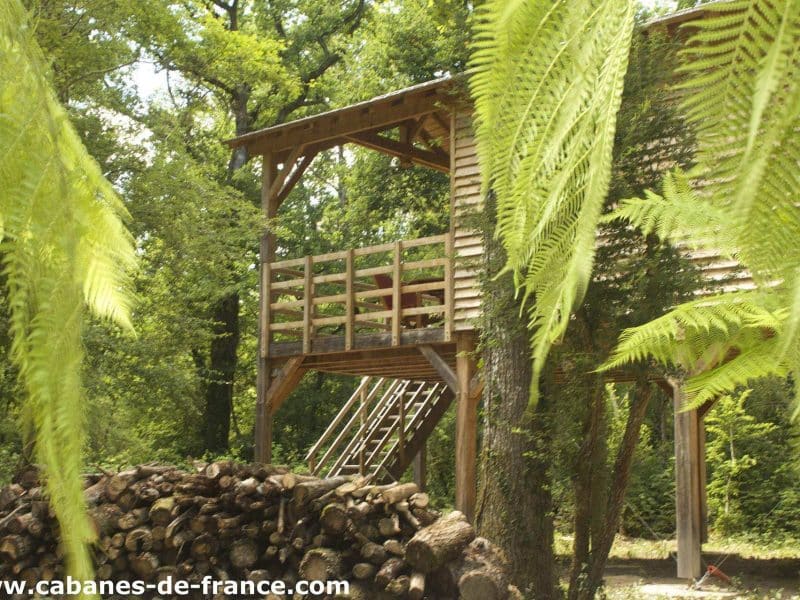 Cabane en bois perchée, entourée de verdure et de troncs darbres.
