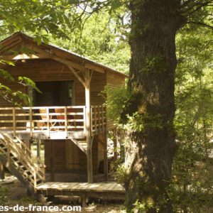 Cabane en bois perchée dans les arbres, entourée de verdure luxuriante.
