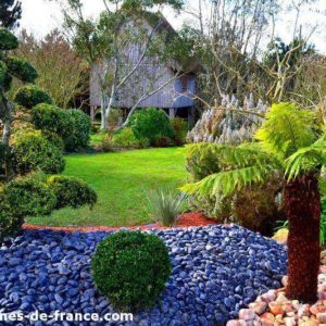 Cabanes en bois entourées dun jardin luxuriant avec des plantes décoratives.