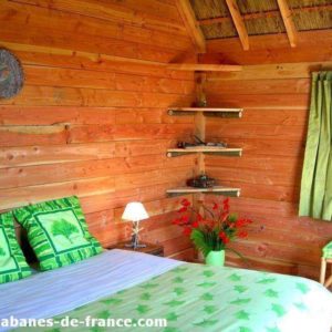 Chalet en bois avec lit douillet et décoration végétale apaisante.