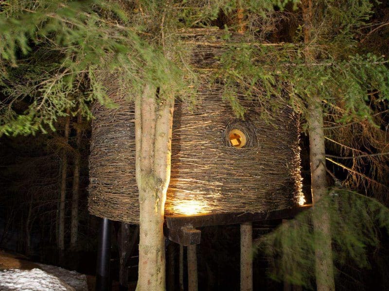 Cabane perchée dans les arbres, illuminée, entourée de sapins enneigés.