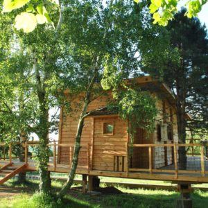 Cabane en bois perchée dans les arbres, entourée de verdure luxuriante.