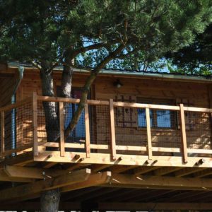 Cabane dans les arbres avec terrasse en bois, entourée de verdure.