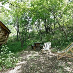 Hébergement insolite en cabane, entouré darbres verdoyants et chaises confortables.