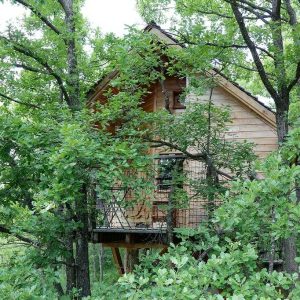 Cabane perchée dans les arbres, entourée de verdure luxuriante en Auvergne-Rhône-Alpes.