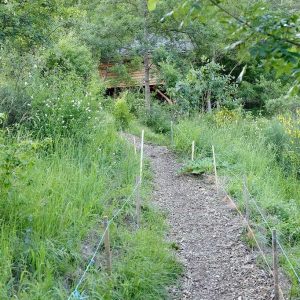 Chemin menant à une cabane perchée, entourée de verdure luxuriante en Auvergne-Rhône-Alpes.
