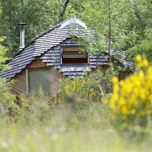 Cabane en bois avec toit en ardoise, entourée de verdure et de fleurs jaunes.