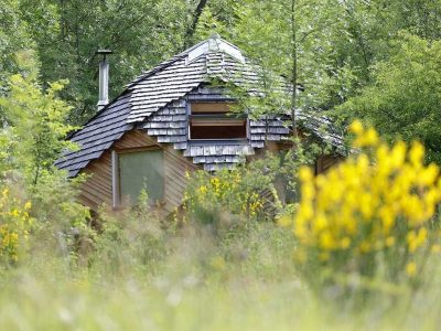 Cabane en bois avec toit en ardoise, entourée de verdure et de fleurs jaunes.