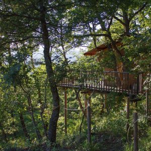Cabane perchée en bois, entourée darbres verdoyants en Provence-Alpes-Côte dAzur.