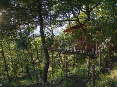 Cabane perchée en bois, entourée darbres verdoyants en Provence-Alpes-Côte dAzur.