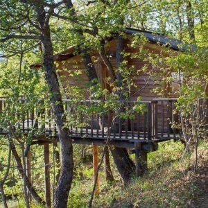 Cabane perchée en bois entourée darbres, offrant une vue sur la nature.