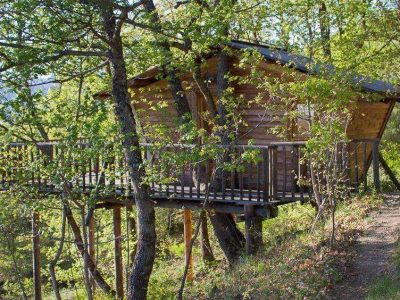 Cabane perchée en bois entourée darbres, offrant une vue sur la nature.