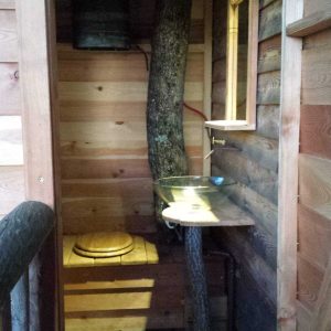 Cabane en bois avec un arbre traversant, offrant un cadre unique et naturel.