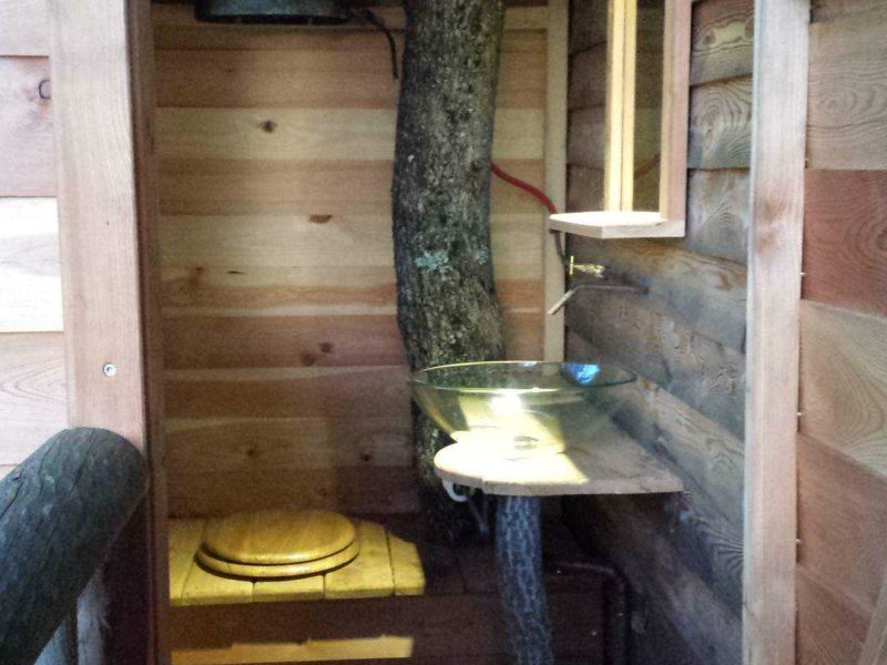 Cabane en bois avec un arbre traversant, offrant un coin toilette rustique.