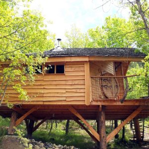 Cabane perchée en bois, entourée darbres verdoyants en Auvergne-Rhône-Alpes.