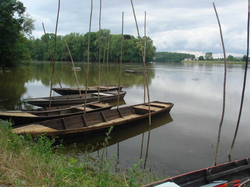 Hébergement en bord de rivière, avec des barques traditionnelles amarrées sur leau.
