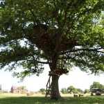 Cabanes Brin de Chevrette