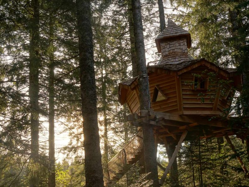Cabane perchée en bois, entourée darbres, baignée de lumière naturelle.