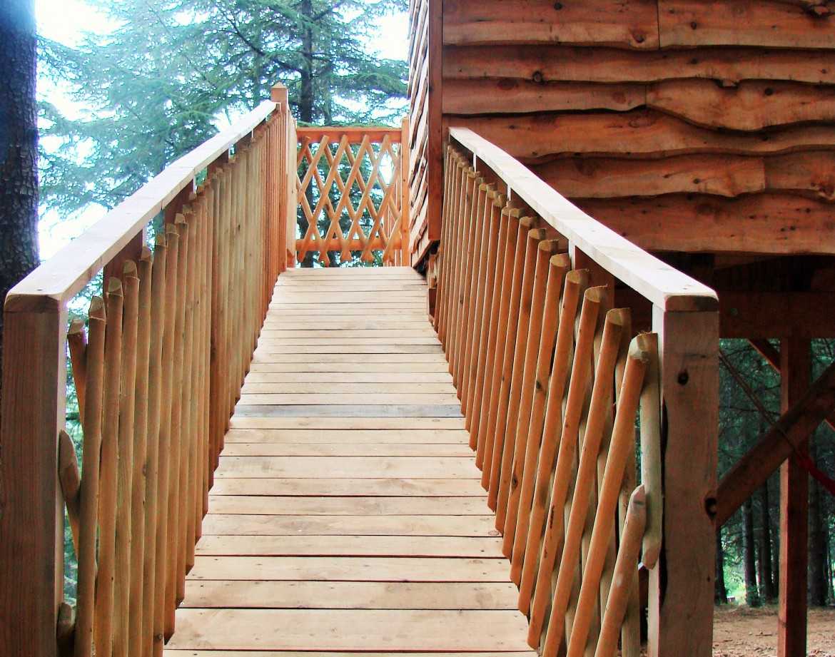 Cabane perchée en bois avec un ponton en bois menant à lentrée.