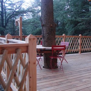 Cabane dans les arbres en Languedoc-Roussillon avec terrasse en bois et arbre central.