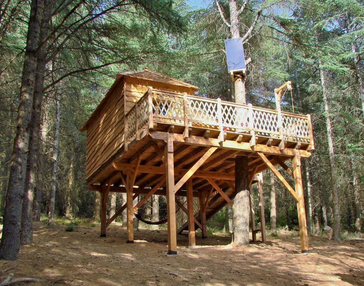 Cabane perchée en bois, entourée darbres, avec une terrasse ensoleillée.