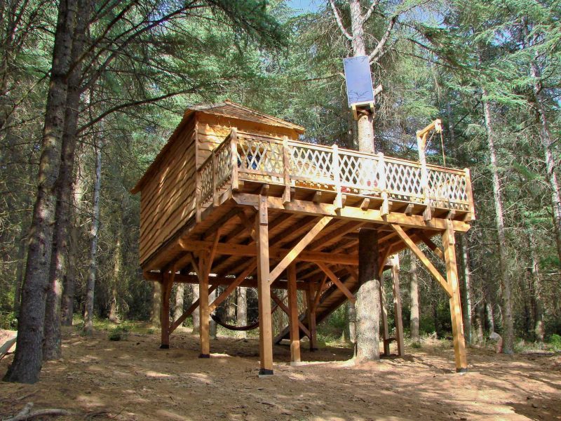 Cabane perchée en bois, entourée darbres, avec une terrasse ensoleillée.