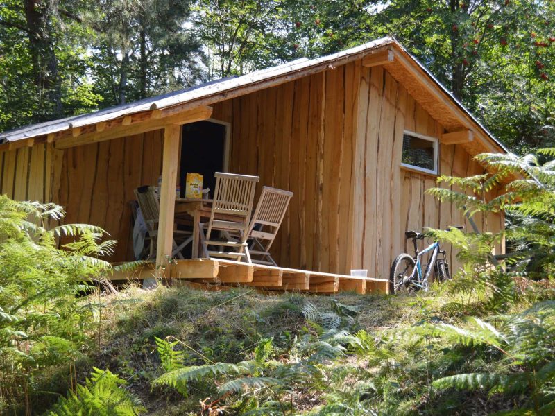 Cabane en bois au milieu des fougères, avec terrasse et mobilier extérieur.