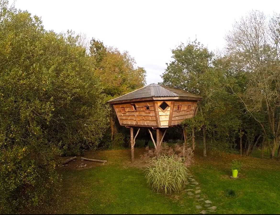 Cabane perchée en bois au cœur de la nature bretonne, entourée darbres.