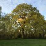 Cabane Perchée du Charron