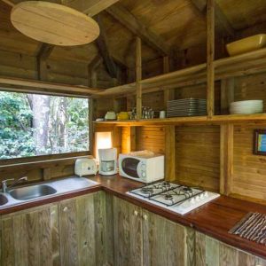 Cabane en bois avec cuisine équipée, entourée de verdure luxuriante.