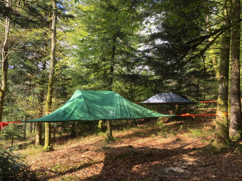 Tente suspendue en pleine forêt, entourée darbres verdoyants et de feuilles dorées.