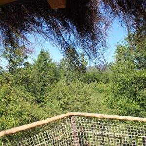 Cabane perchée en Provence-Alpes-Côte dAzur, vue sur la nature verdoyante.
